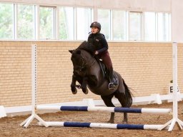 IMG_2148web